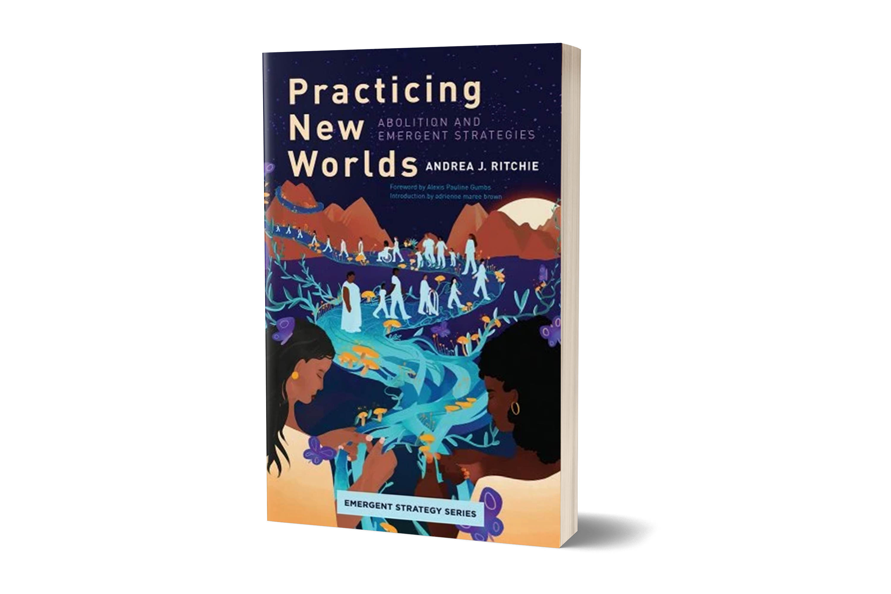 an illustrated cover for Practicing New Worlds