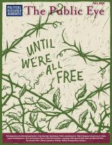 Cover of The Public Eye