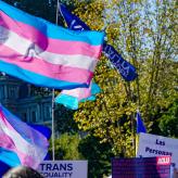 Two transgender flags flying.